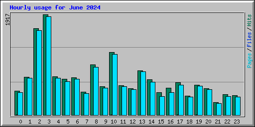 Hourly usage for June 2024
