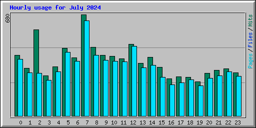 Hourly usage for July 2024