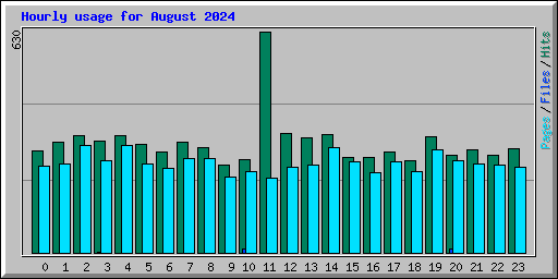 Hourly usage for August 2024