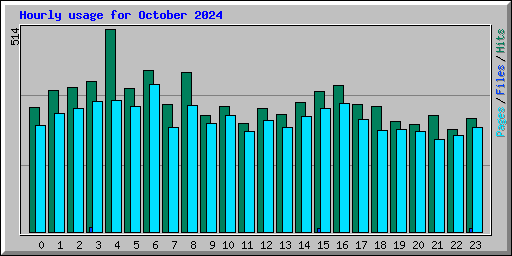 Hourly usage for October 2024