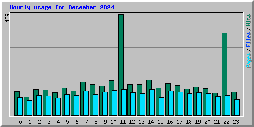 Hourly usage for December 2024