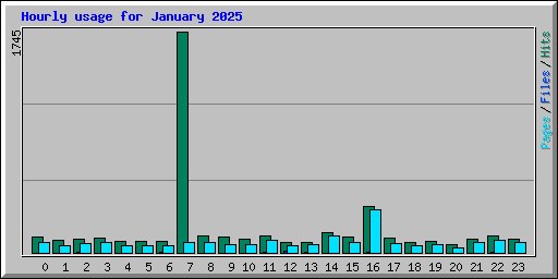 Hourly usage for January 2025